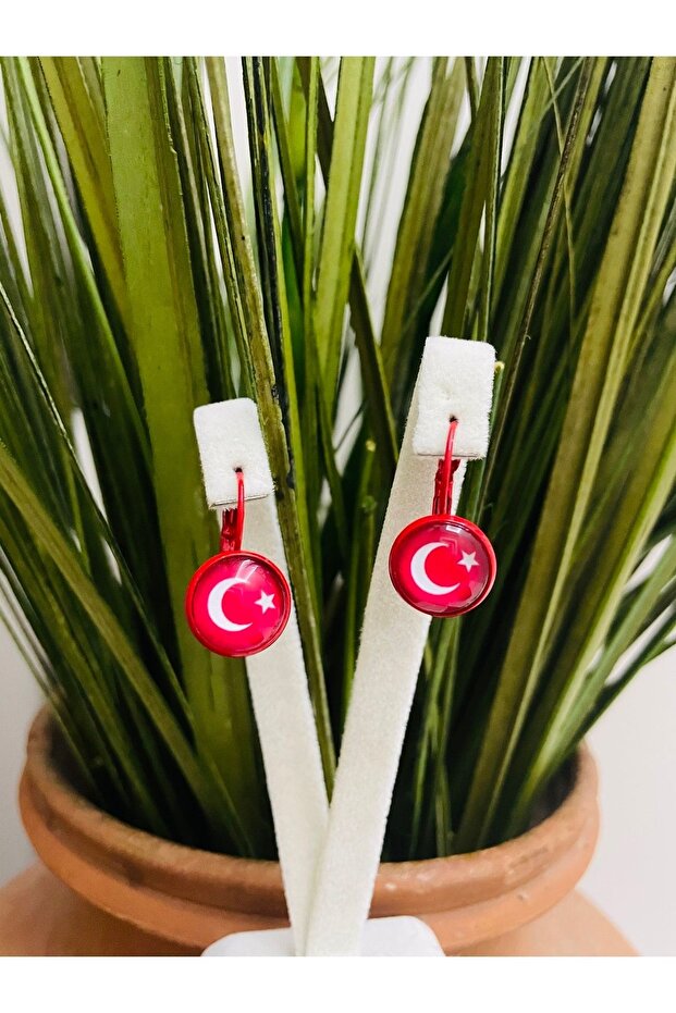 Turkish Flag Moon Star Earrings -29 October Republic Day Earrings