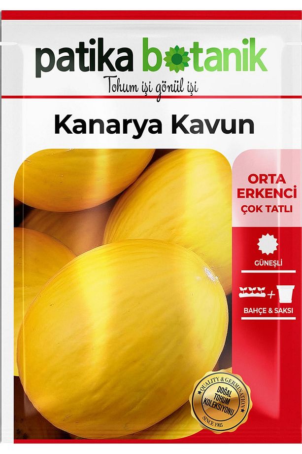 50 Adet Kanarya Kavun Tohumu(KIŞLIK) - 3