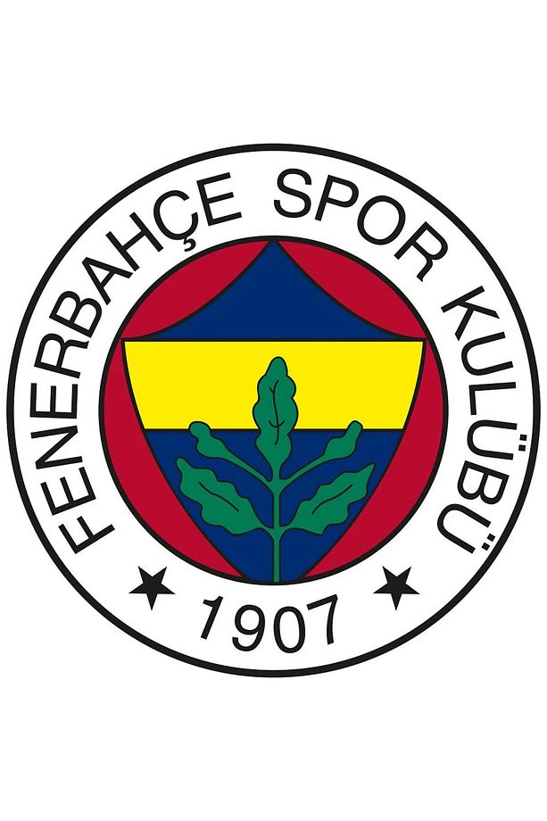 Lisanslı Fenerbahçe Light Glow Pamuk Tek Kişilik Nevresim Takımı - 3