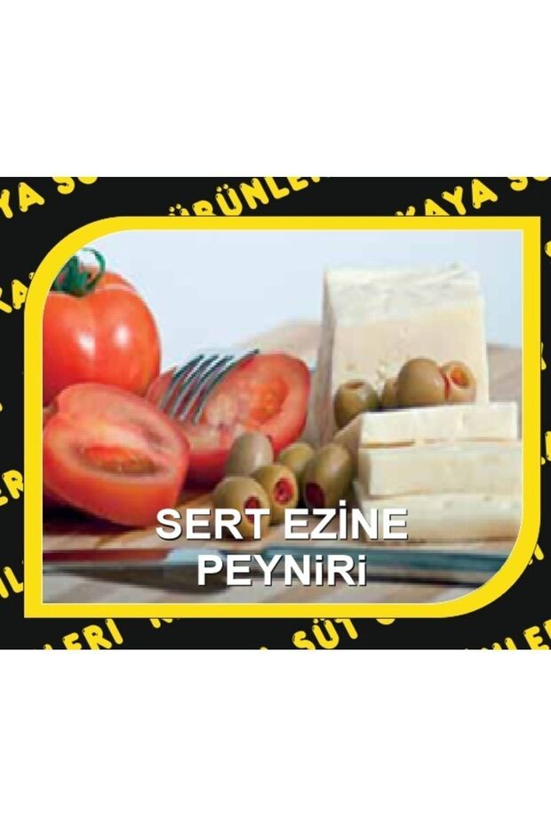 Ezine SERT