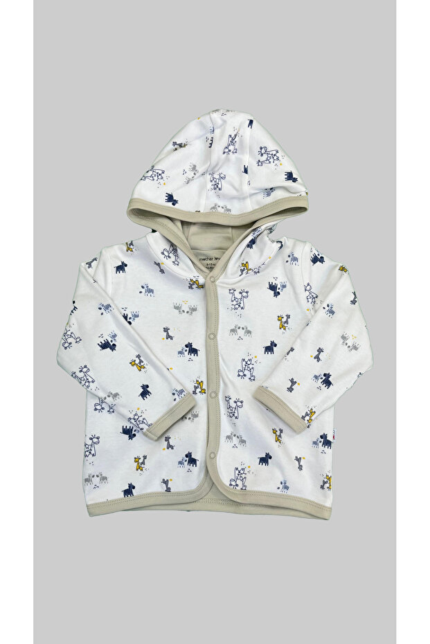 100% Organic Hooded Sweatshirt