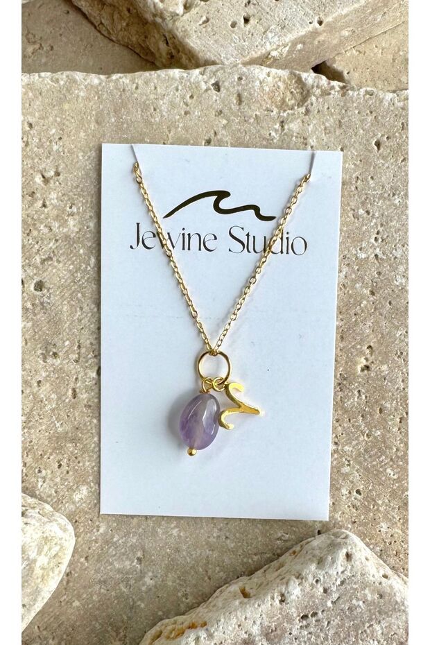 Aries Symbol and Amethyst Natural Stone Steel Necklace
