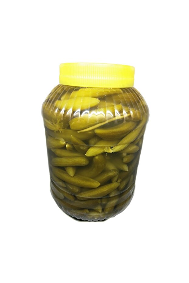 Çubuk Salatalık No:0 5000 Cc - 3
