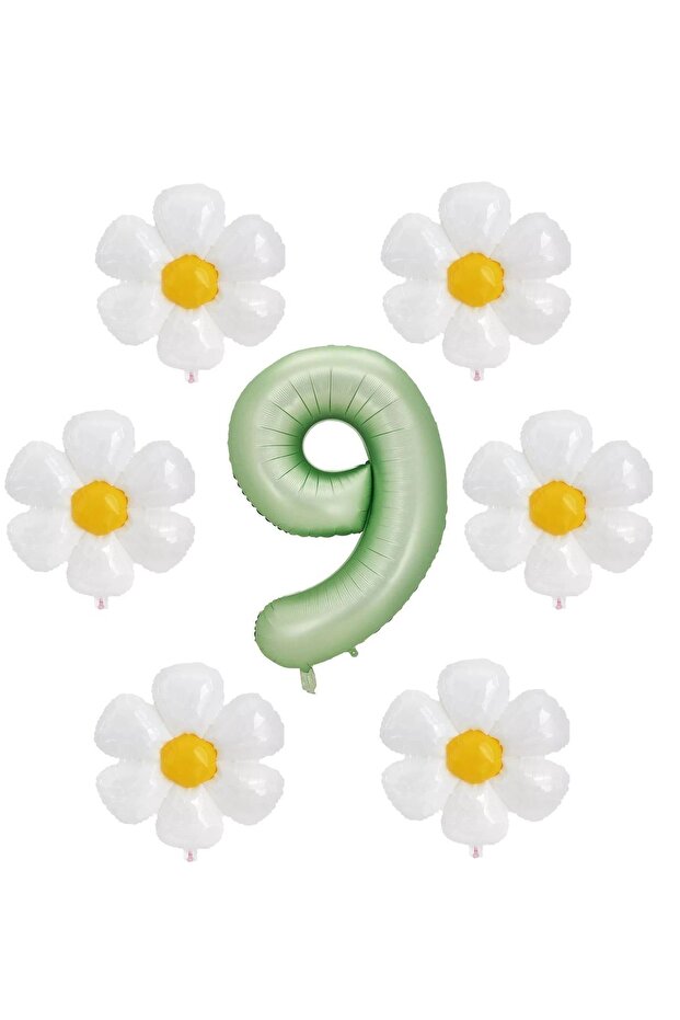 Water Green Color Number and 6 Daisy Foil Balloons Set Age 9