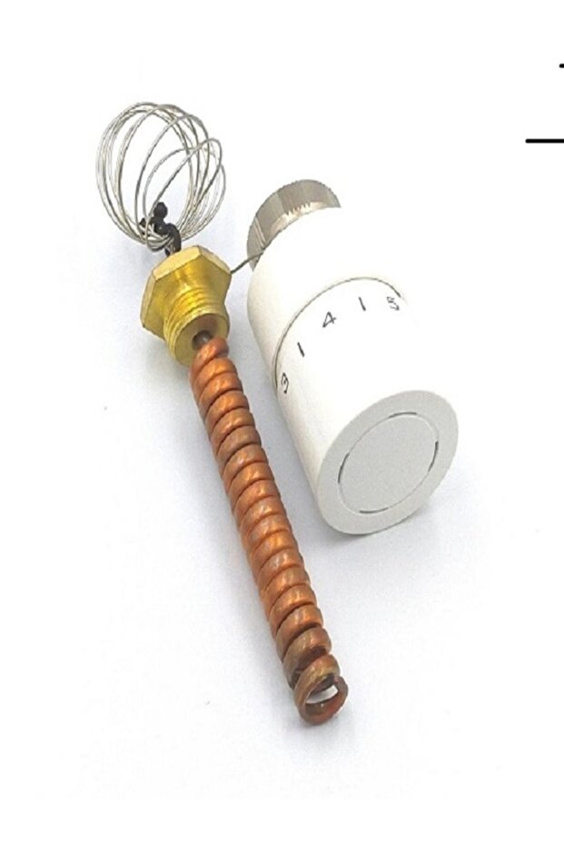 Daf danfoss Termostatik Vana Kafası - 1