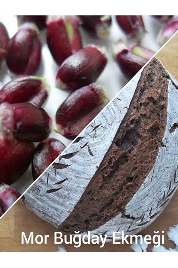 Antioksidan Mor Buğday Unu 5 Kg - 4