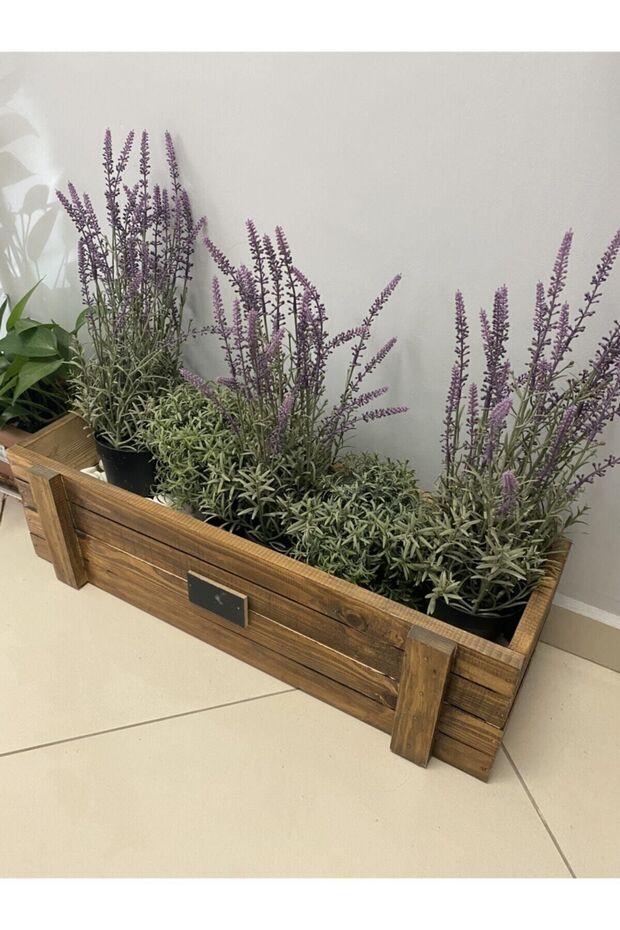 Ahşap Saksılık - 2