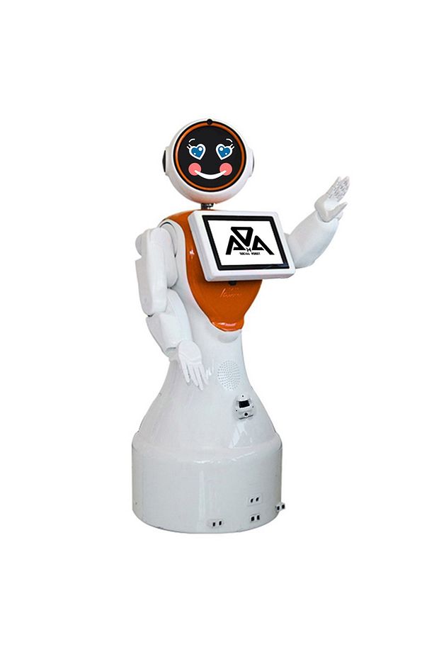 Mini Ada Insansı Robot - 3