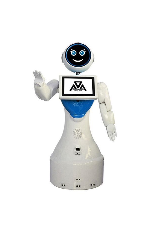 Mini Ada Insansı Robot - 2