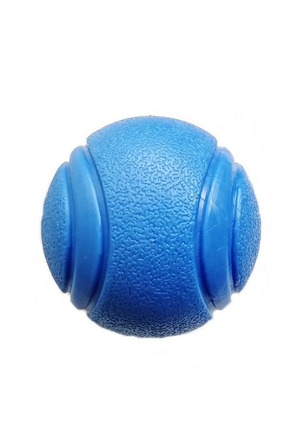 Yavru Ve Küçük Irk Zıplayan Sert Top Köpek Oyuncağı 4.5 Cm - 1