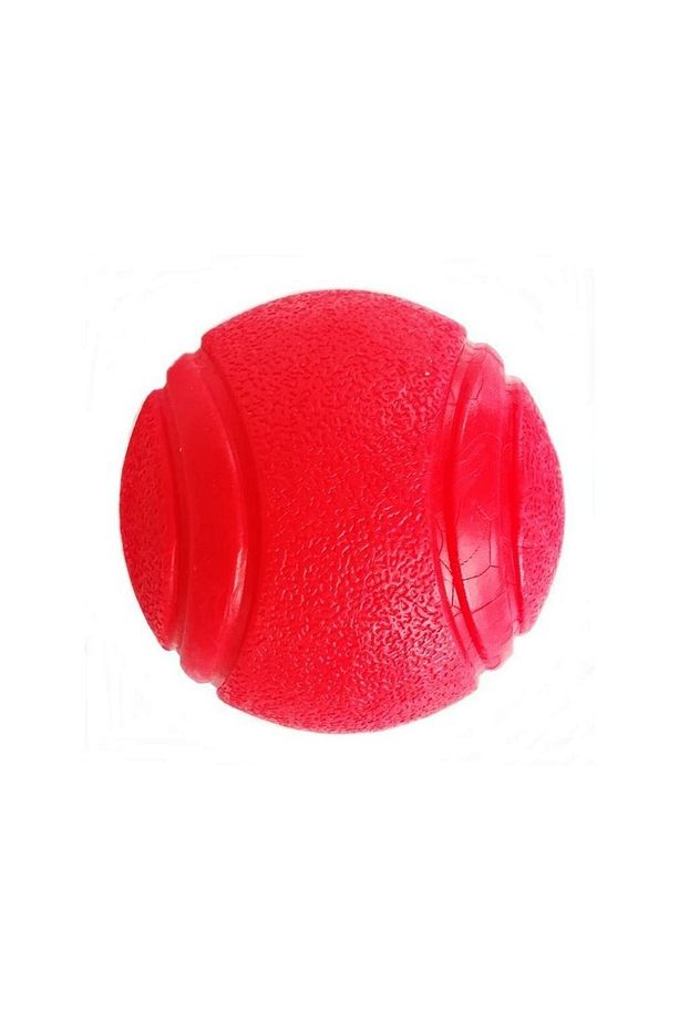 Yavru Ve Küçük Irk Zıplayan Sert Top Köpek Oyuncağı 4.5 Cm - 1