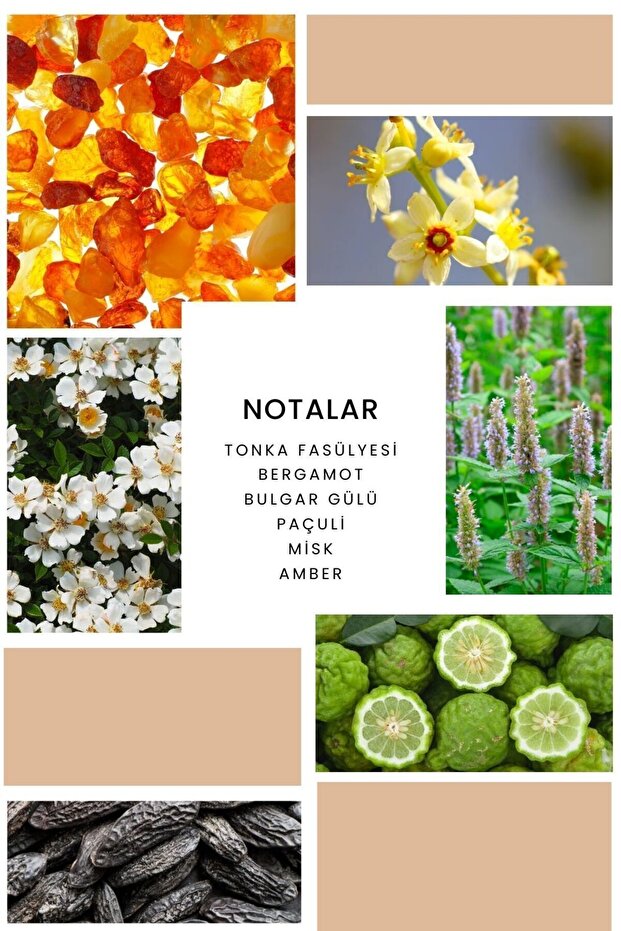 K367 Esprit Kadın Parfüm - 50ml - 2