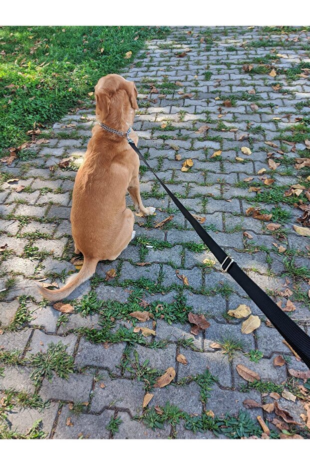 معيار الشحن - حزام حر اليدين - 5