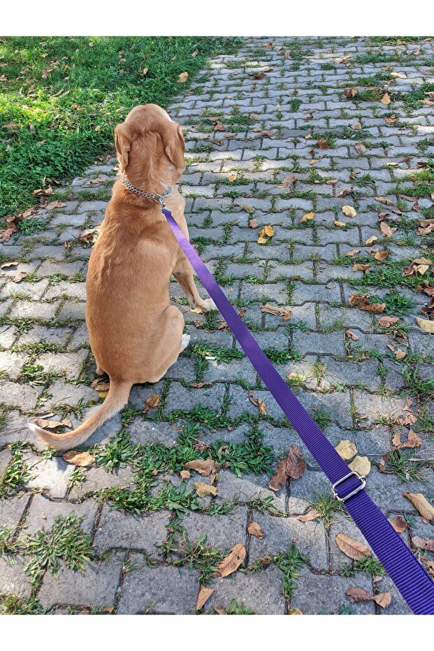 معيار الشحن - حزام حر اليدين - 5