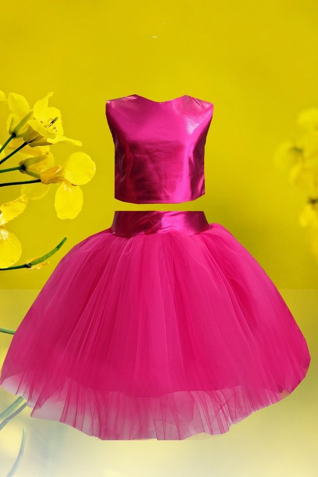 Girl's Tutu Skirt - Crop Blouse Set, Birthday Dress