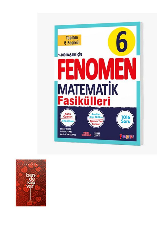 FENOMEN 6.SINIF MATEMATİK FASİKÜLLERİ - 1