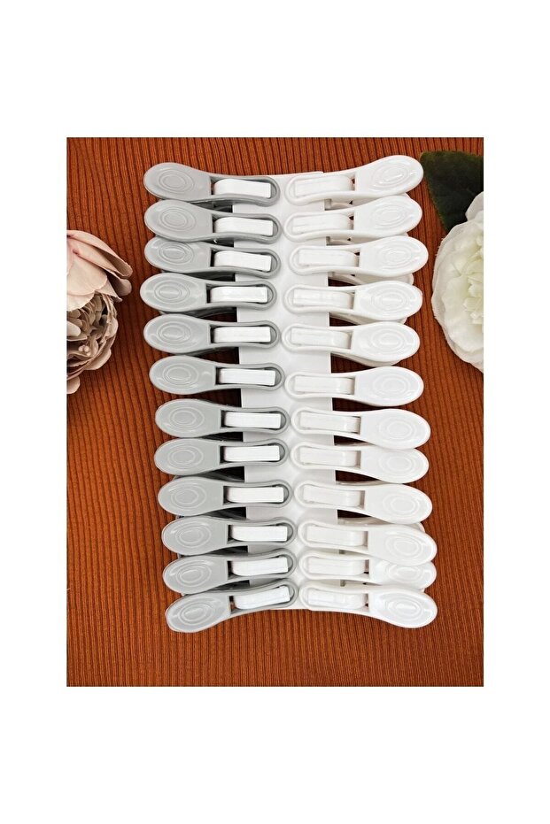 24 Pieces Premium Non-Marking Non-Breakable Stainless Springless Clothes Pegs Super Strong Non-Marking