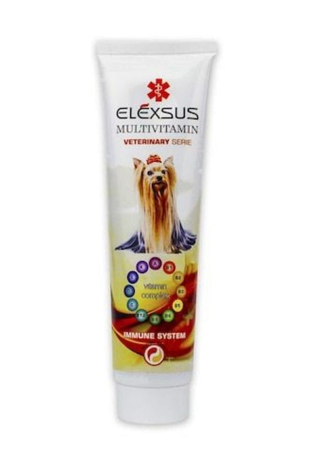 Immune System Köpek Multivitamin Malt 100 gr - 1
