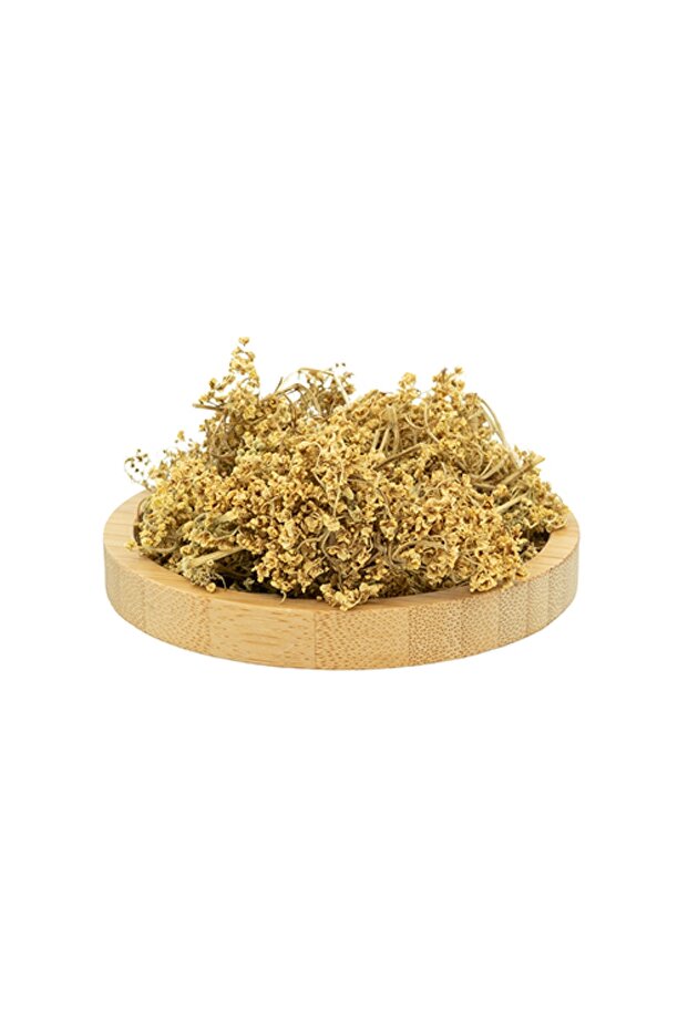 Mürver Çiçeği - 1