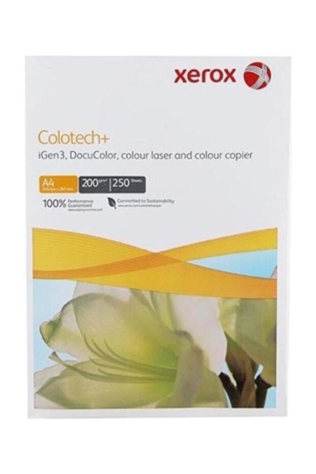 Colotech A4 Copy Paper - 200Gr 250 Sheets (1 Pack)