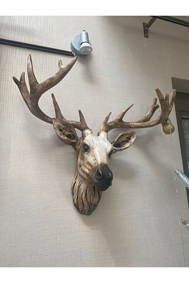 Geyik Kafası Beyaz - 1