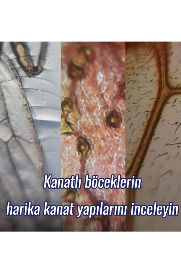 Temel Başlangıç Seti Mikroskop - 6