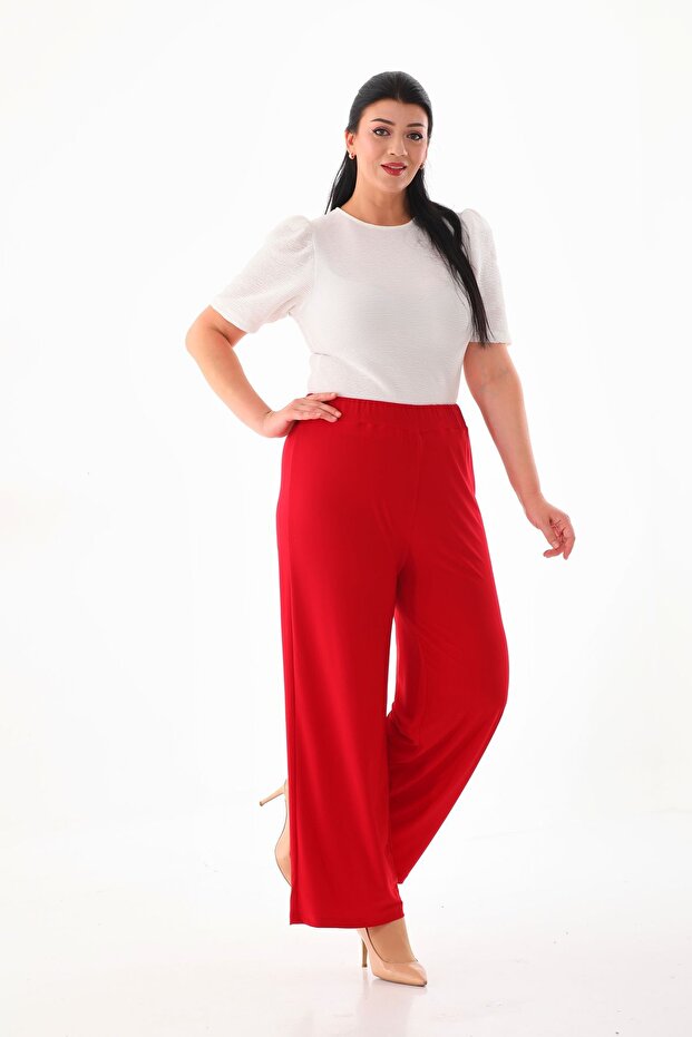 Plus Size Lycra Sendy Fabric STRETCH COMFORTABLE FABRIC PANTS 3076