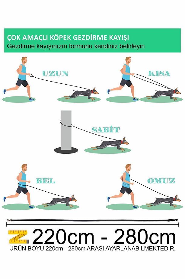 Eller Serbest Gezdirme Kayışı Hands Free Leash Gezdirme Tasması - 4