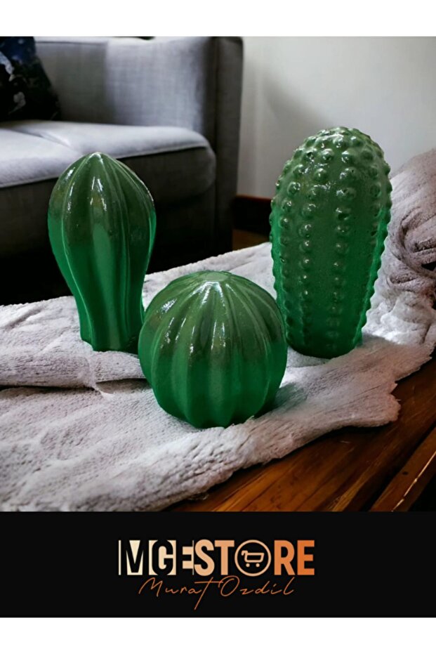 Dekoratif 3lü kaktüs seti - 1