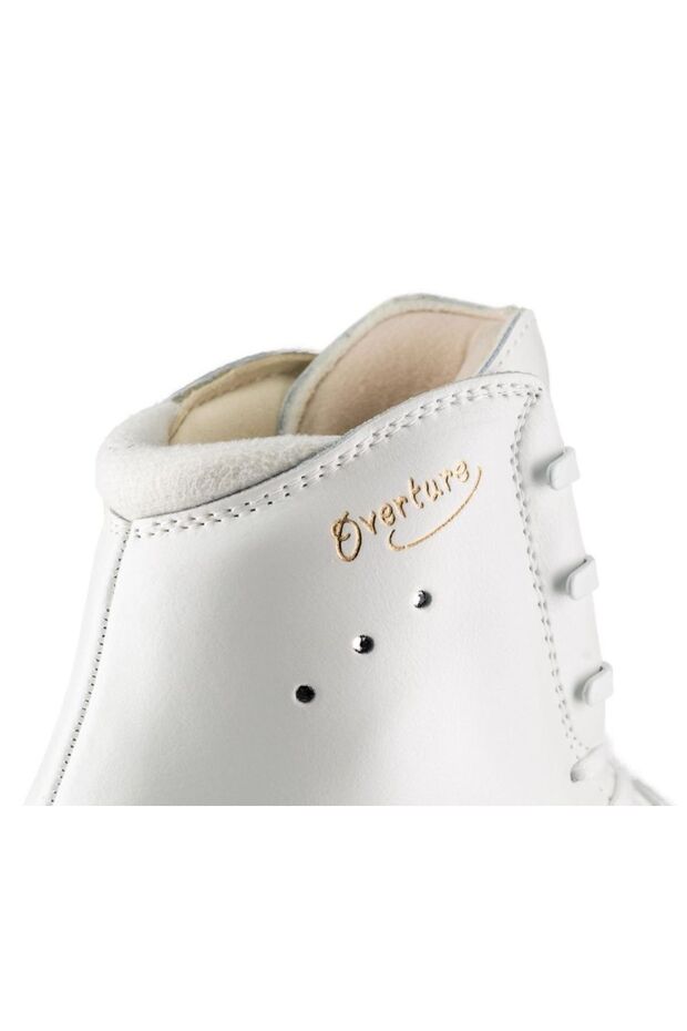 Overture Buz Pateni - 5