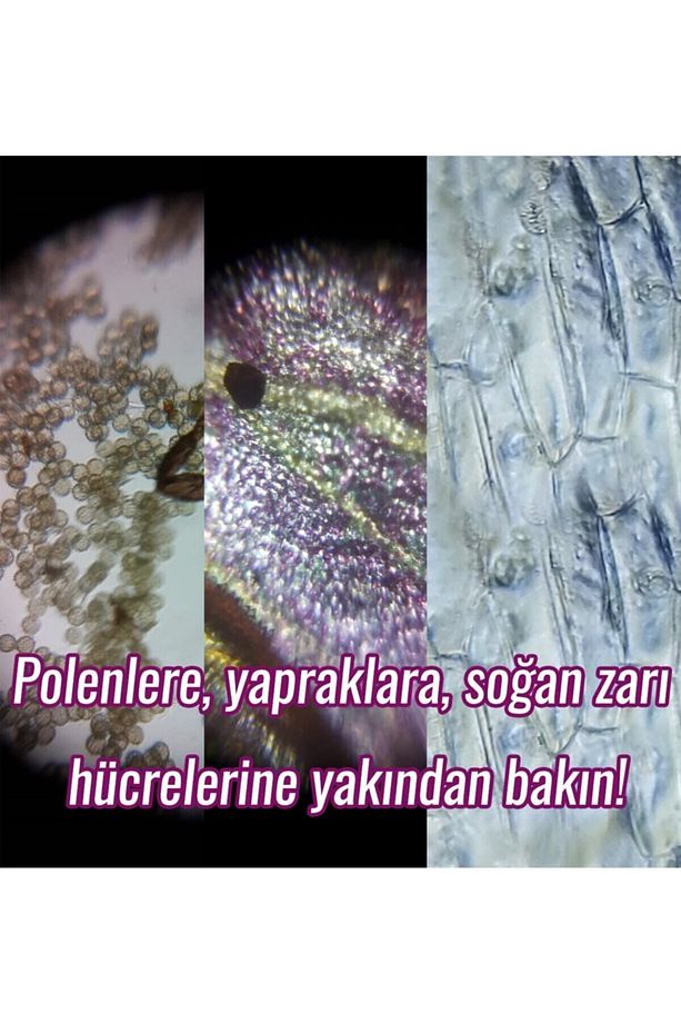 Temel Başlangıç Seti Mikroskop - 7