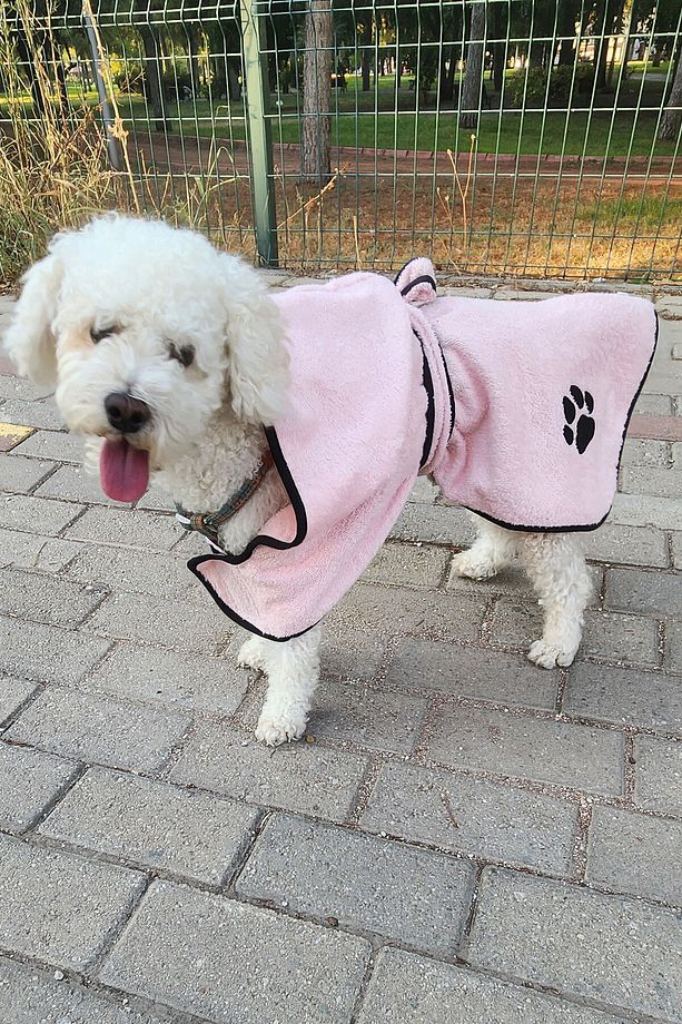 2'li Pamuklu ve Kapüşonlu Köpek Bornozu - 1
