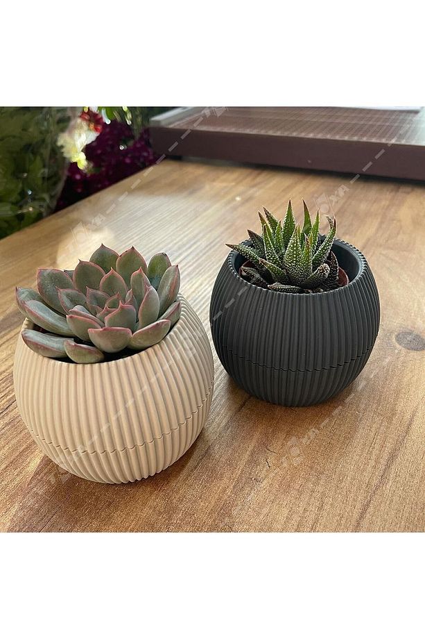 5 Parça Karasu Plastik Mercan Saksı Seti Antrasit Gri Kaktüs Sukulent Saksısı Set - 8