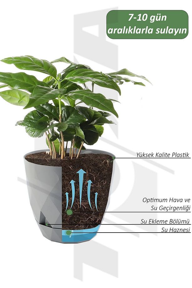 4 Adet 1.3lt Ø14,5x12,5cm Baklava Desenli Tabaklı Dekoratif Plastik Saksı Yakamoz No2 Antrasit - 3