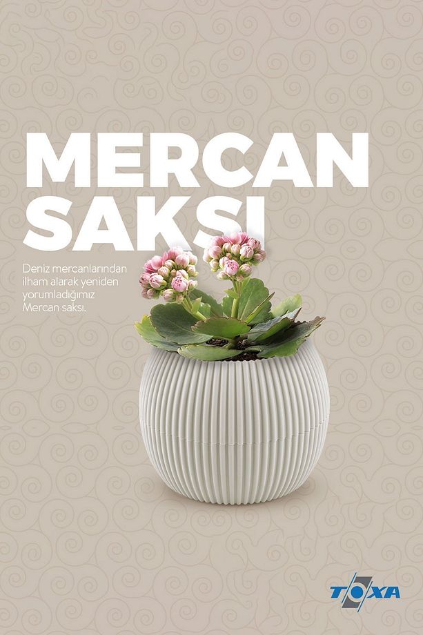 4 Boy Mercan Yuvarlak Bej Saksı Seti Karasu Plastik Kaktüs Sukulent Saksısı Set - 6