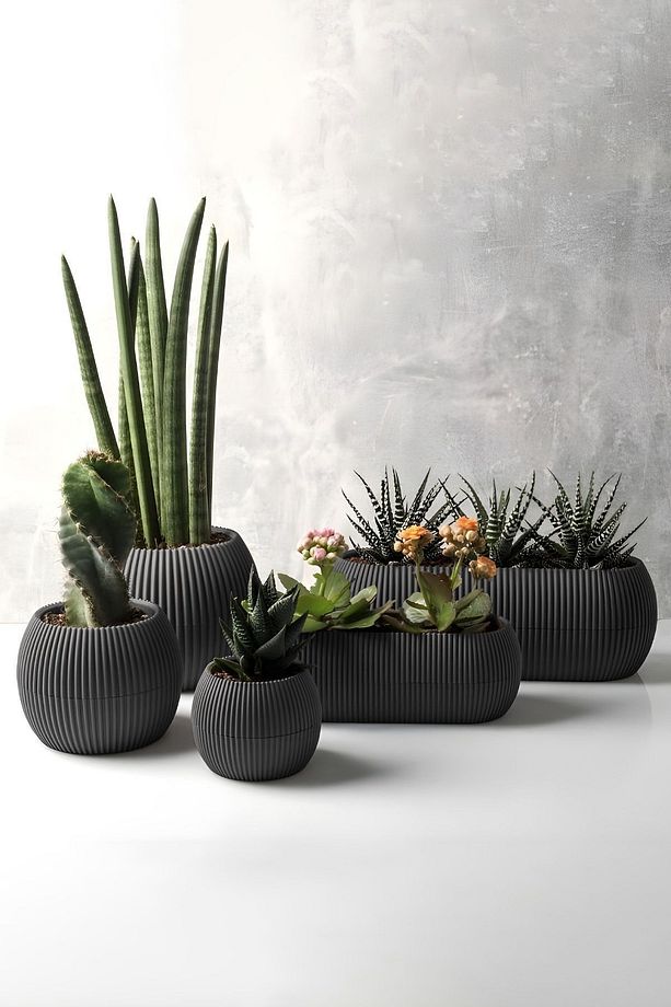 5 Parça Karasu Plastik Mercan Saksı Seti Antrasit Gri Kaktüs Sukulent Saksısı Set - 1