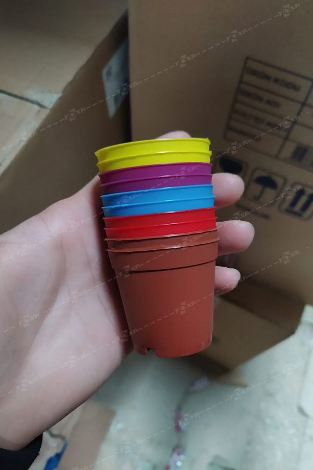 5 Adet 5,5cm Renkli Dar Tabanlı Üretim Saksısı Plastik Fide Çelik Kaktüs Sukulent Yetiştirme Saksı - 2