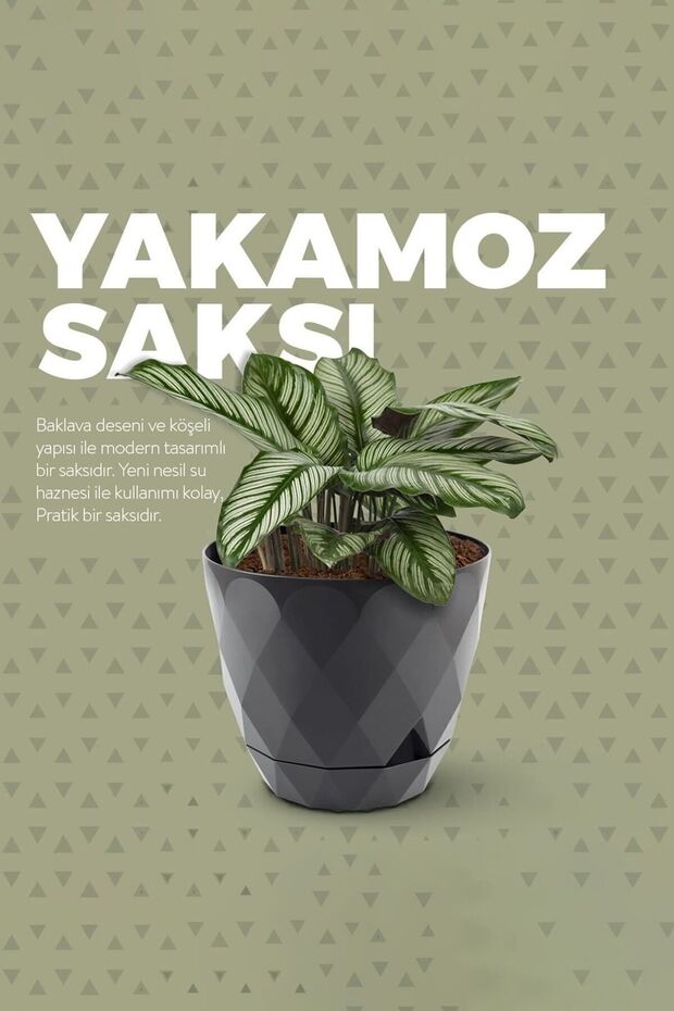 3 Adet Karasu Plastik Yakamoz No3 2.4lt Antrasit Saksı Seti Kendinden Tabaklı Çiçek Saksısı Set - 5