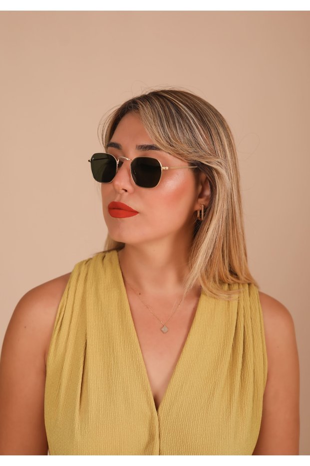 AR Collection Unisex Metal Polarized Sunglasses AR2229 C3