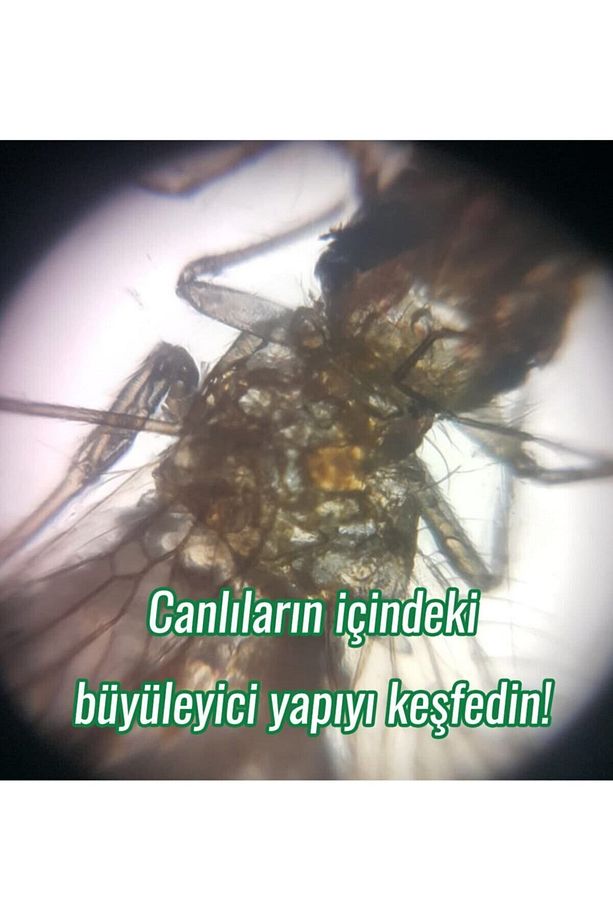 Temel Başlangıç Seti Mikroskop - 8