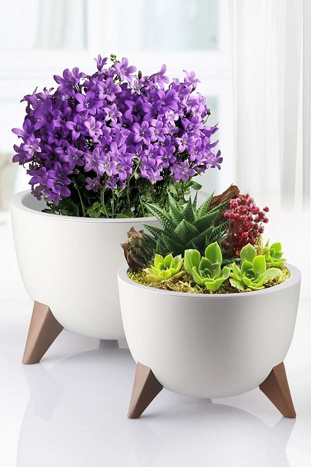 3lü Küre Bej Saksı Seti Ayaklı Drenaj Süzgeçli Plastik Bonsai Kaktüs Bitki Çiçek Saksısı Ufo Set - 4