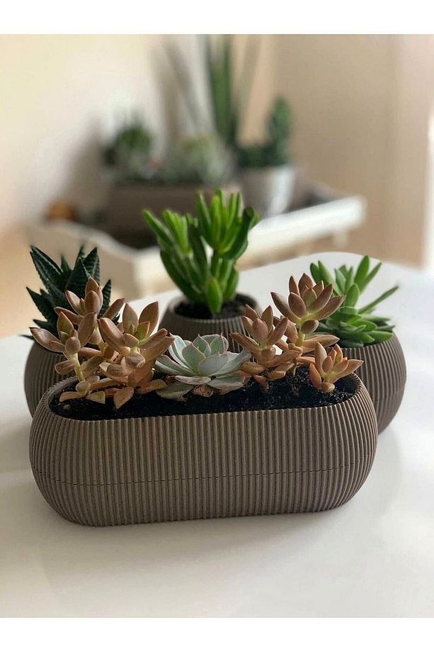 5 Parça Karasu Plastik Mercan Saksı Seti Antrasit Gri Kaktüs Sukulent Saksısı Set - 7