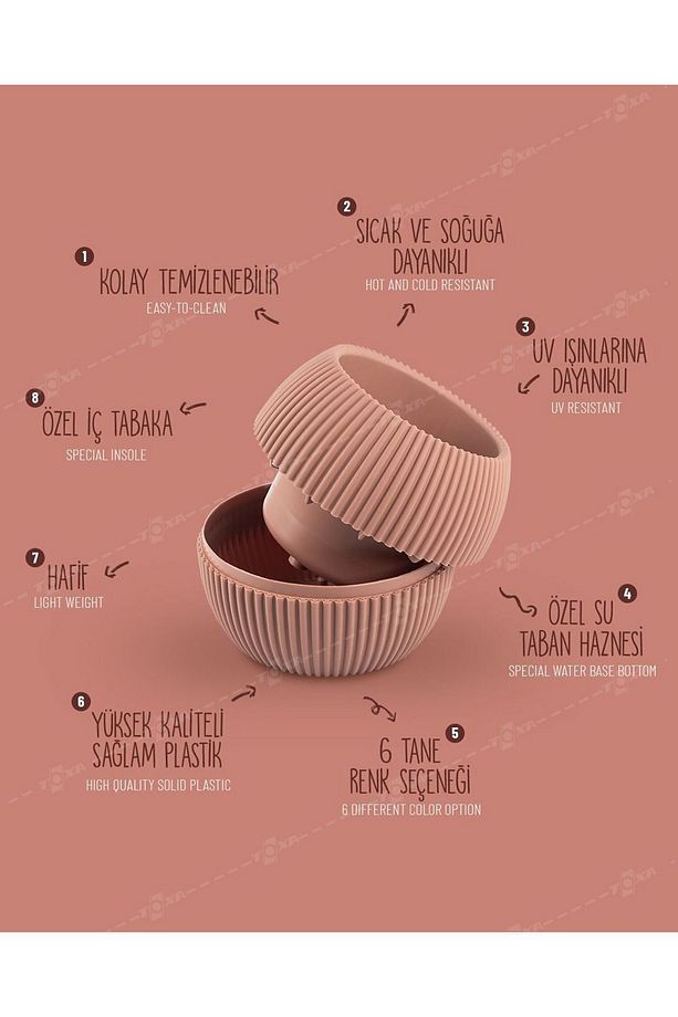 4 Boy Mercan Yuvarlak Bej Saksı Seti Karasu Plastik Kaktüs Sukulent Saksısı Set - 4