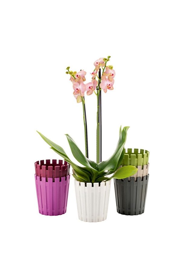 6 Adet Akasya Orkide Saksı Set 1,10 Litre Çok Renkli 13cm Plastik Bitki Çiçek Saksısı Seti - 1