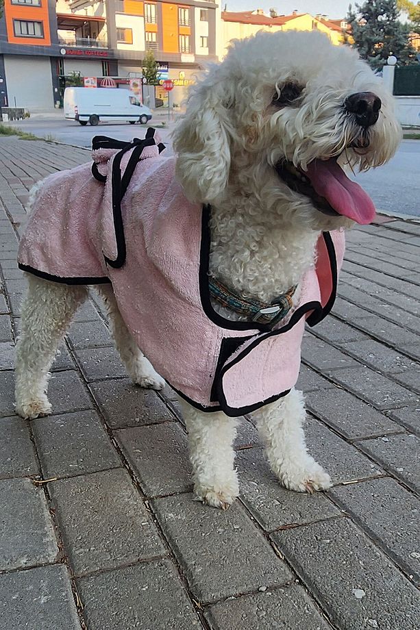 2'li Pamuklu ve Kapüşonlu Köpek Bornozu - 3