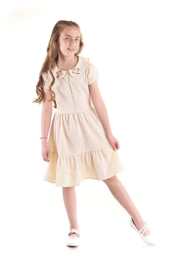 Kids Girl's Buttoned Collar Embroidered Dress Trendy Cotton Ak2523