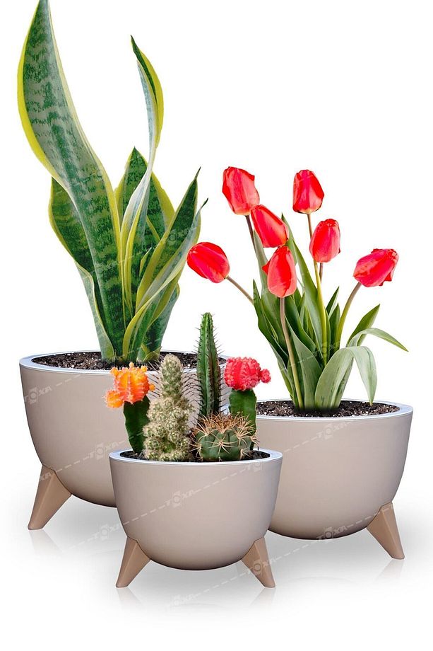 3lü Küre Bej Saksı Seti Ayaklı Drenaj Süzgeçli Plastik Bonsai Kaktüs Bitki Çiçek Saksısı Ufo Set - 1
