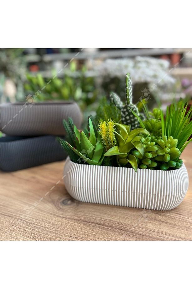 5 Parça Karasu Plastik Mercan Saksı Seti Antrasit Gri Kaktüs Sukulent Saksısı Set - 6