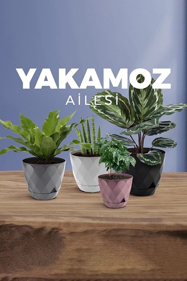 3 Adet Karasu Plastik Yakamoz No2 Saksı Granit Gri Tabaklı Dekoratif Çiçek Saksısı - 7