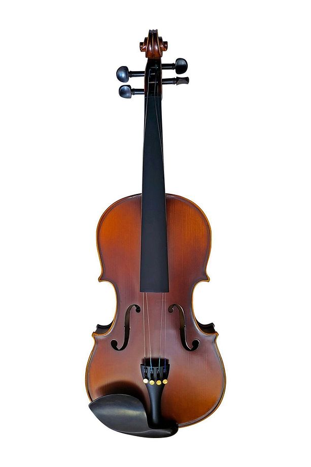Vl-8 Profesyonel El Yapımı Keman (TAM BOY 4/4) - 2